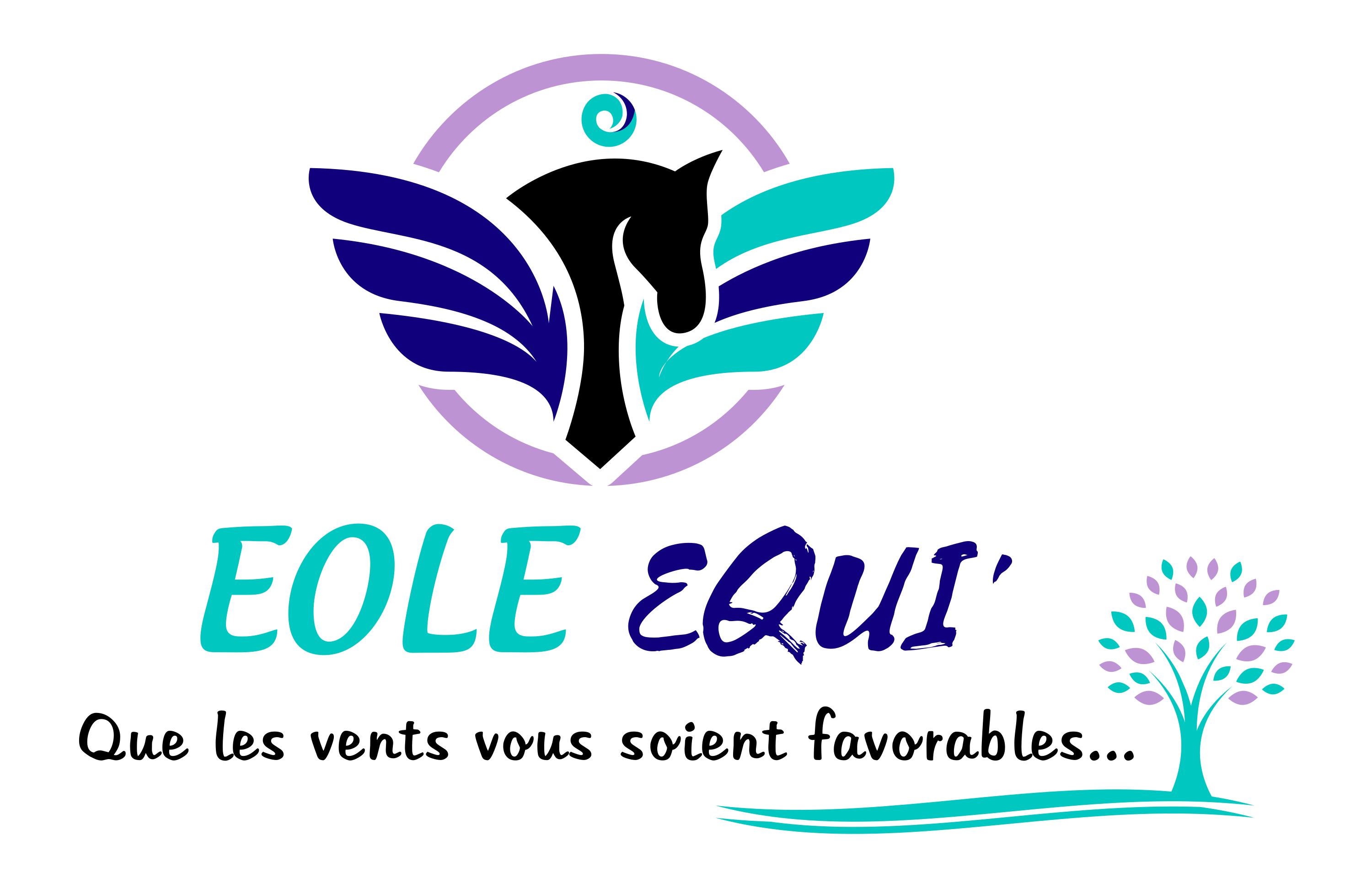 EOLE EQUI' - Réservations